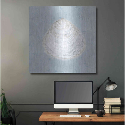 Luxe Metal Art 'Serene Shells I' by James Wiens, Metal Wall Art,36x36