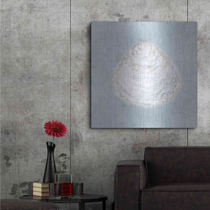 Luxe Metal Art 'Serene Shells I' by James Wiens, Metal Wall Art,36x36