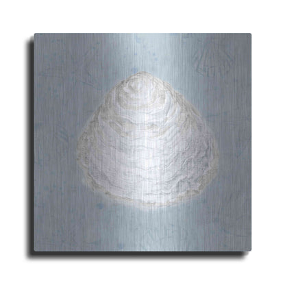 Luxe Metal Art 'Serene Shells I' by James Wiens, Metal Wall Art