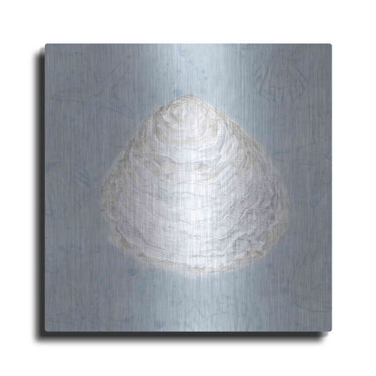 Luxe Metal Art 'Serene Shells I' by James Wiens, Metal Wall Art