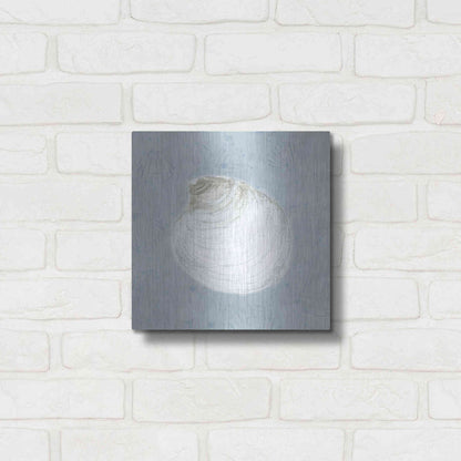 Luxe Metal Art 'Serene Shells II' by James Wiens, Metal Wall Art,12x12
