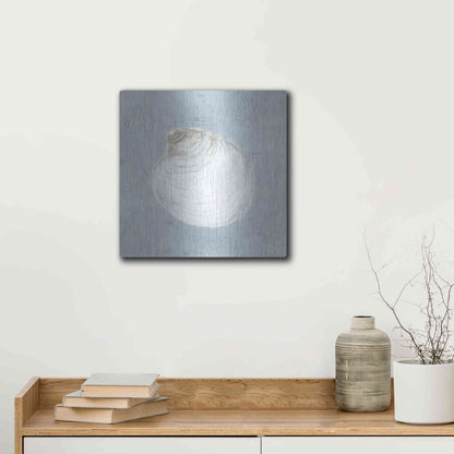 Luxe Metal Art 'Serene Shells II' by James Wiens, Metal Wall Art,12x12