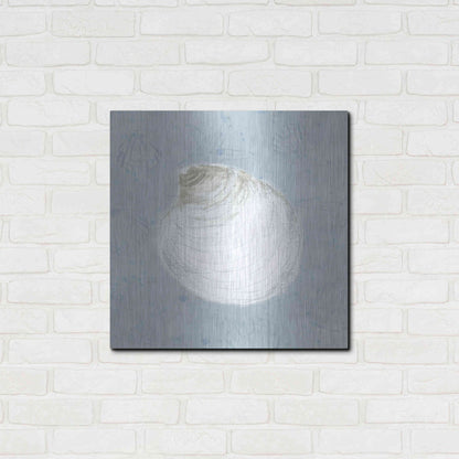 Luxe Metal Art 'Serene Shells II' by James Wiens, Metal Wall Art,24x24