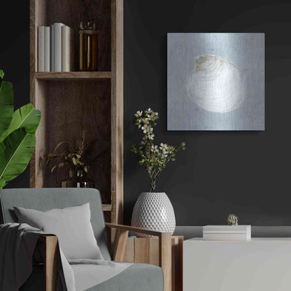 Luxe Metal Art 'Serene Shells II' by James Wiens, Metal Wall Art,24x24