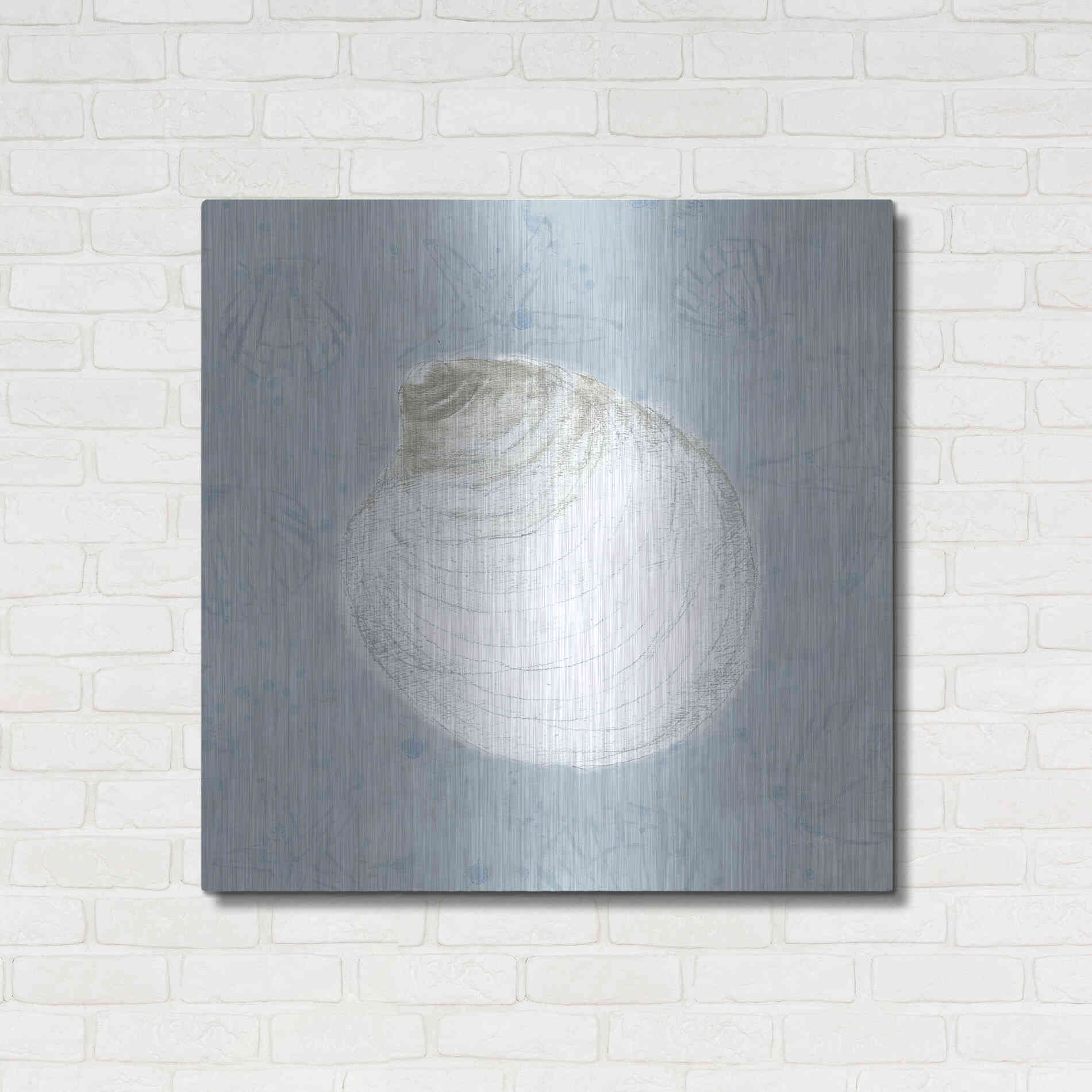 Luxe Metal Art 'Serene Shells II' by James Wiens, Metal Wall Art,36x36