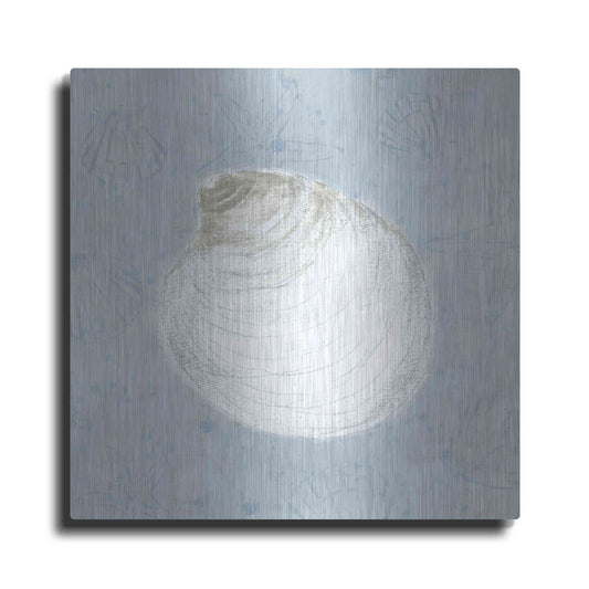 Luxe Metal Art 'Serene Shells II' by James Wiens, Metal Wall Art