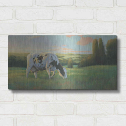 Luxe Metal Art 'Farm Life I' by James Wiens, Metal Wall Art,24x12