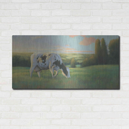 Luxe Metal Art 'Farm Life I' by James Wiens, Metal Wall Art,48x24