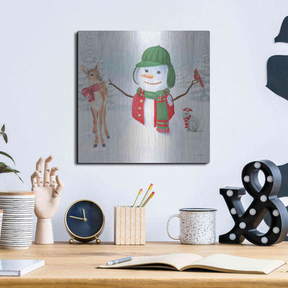 Luxe Metal Art 'Dressed for Christmas I Crop' by James Wiens, Metal Wall Art,12x12