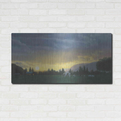 Luxe Metal Art 'Farm Life II' by James Wiens, Metal Wall Art,48x24