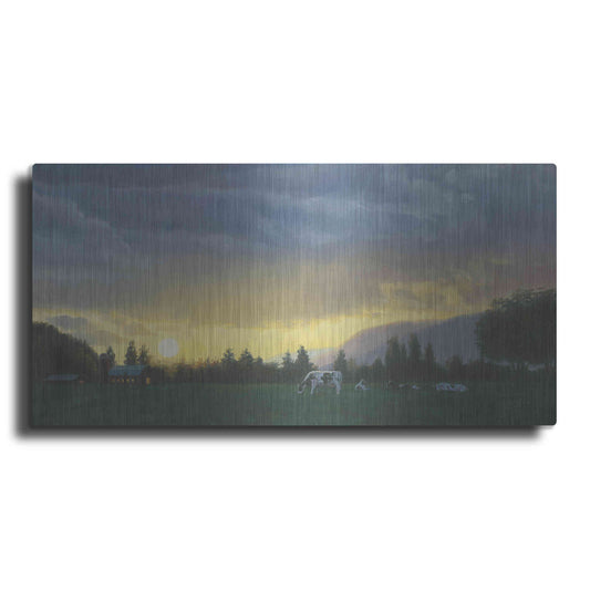 Luxe Metal Art 'Farm Life II' by James Wiens, Metal Wall Art