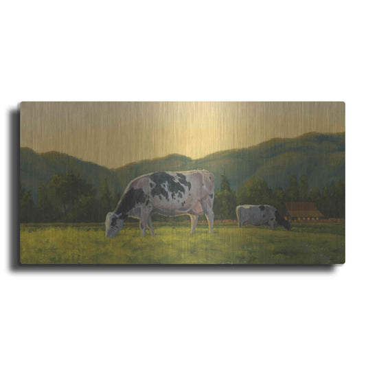 Luxe Metal Art 'Farm Life III' by James Wiens, Metal Wall Art