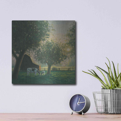 Luxe Metal Art 'Farm Life IV' by James Wiens, Metal Wall Art,12x12