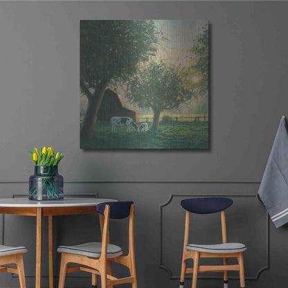 Luxe Metal Art 'Farm Life IV' by James Wiens, Metal Wall Art,36x36