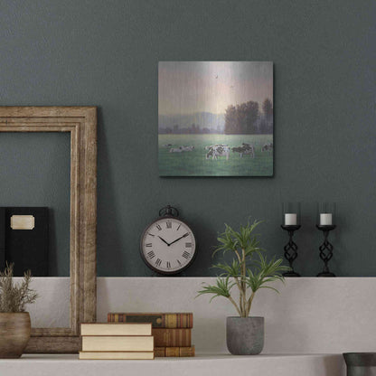 Luxe Metal Art 'Farm Life V' by James Wiens, Metal Wall Art,12x12