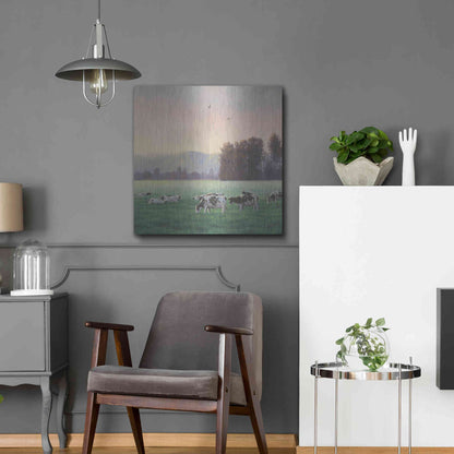 Luxe Metal Art 'Farm Life V' by James Wiens, Metal Wall Art,24x24