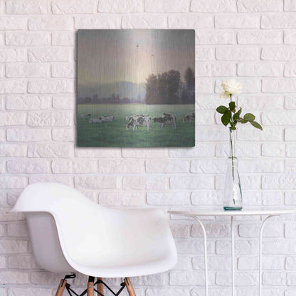 Luxe Metal Art 'Farm Life V' by James Wiens, Metal Wall Art,24x24