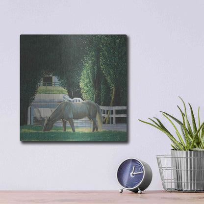 Luxe Metal Art 'Farm Life VI' by James Wiens, Metal Wall Art,12x12