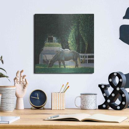 Luxe Metal Art 'Farm Life VI' by James Wiens, Metal Wall Art,12x12