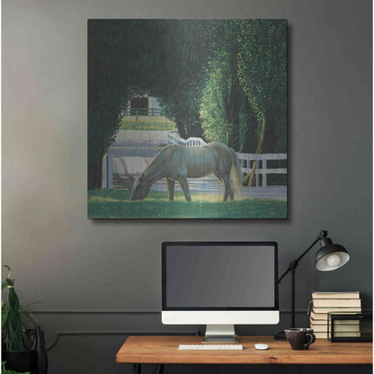 Luxe Metal Art 'Farm Life VI' by James Wiens, Metal Wall Art,36x36