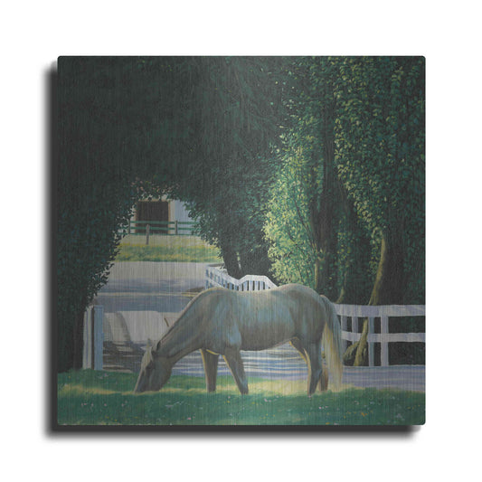 Luxe Metal Art 'Farm Life VI' by James Wiens, Metal Wall Art