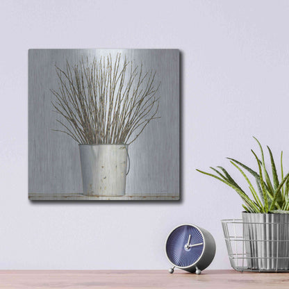 Luxe Metal Art 'Early Spring' by James Wiens, Metal Wall Art,12x12