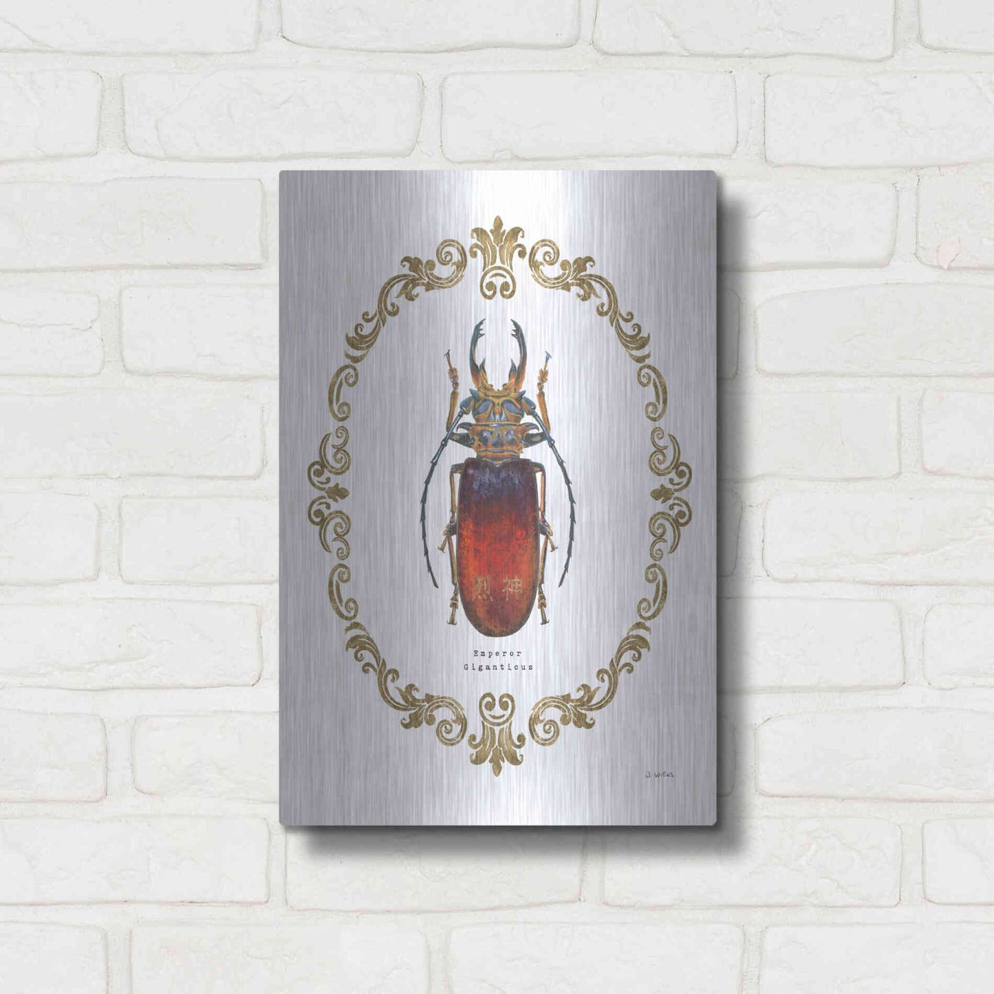 Luxe Metal Art 'Adorning Coleoptera I' by James Wiens, Metal Wall Art,12x16