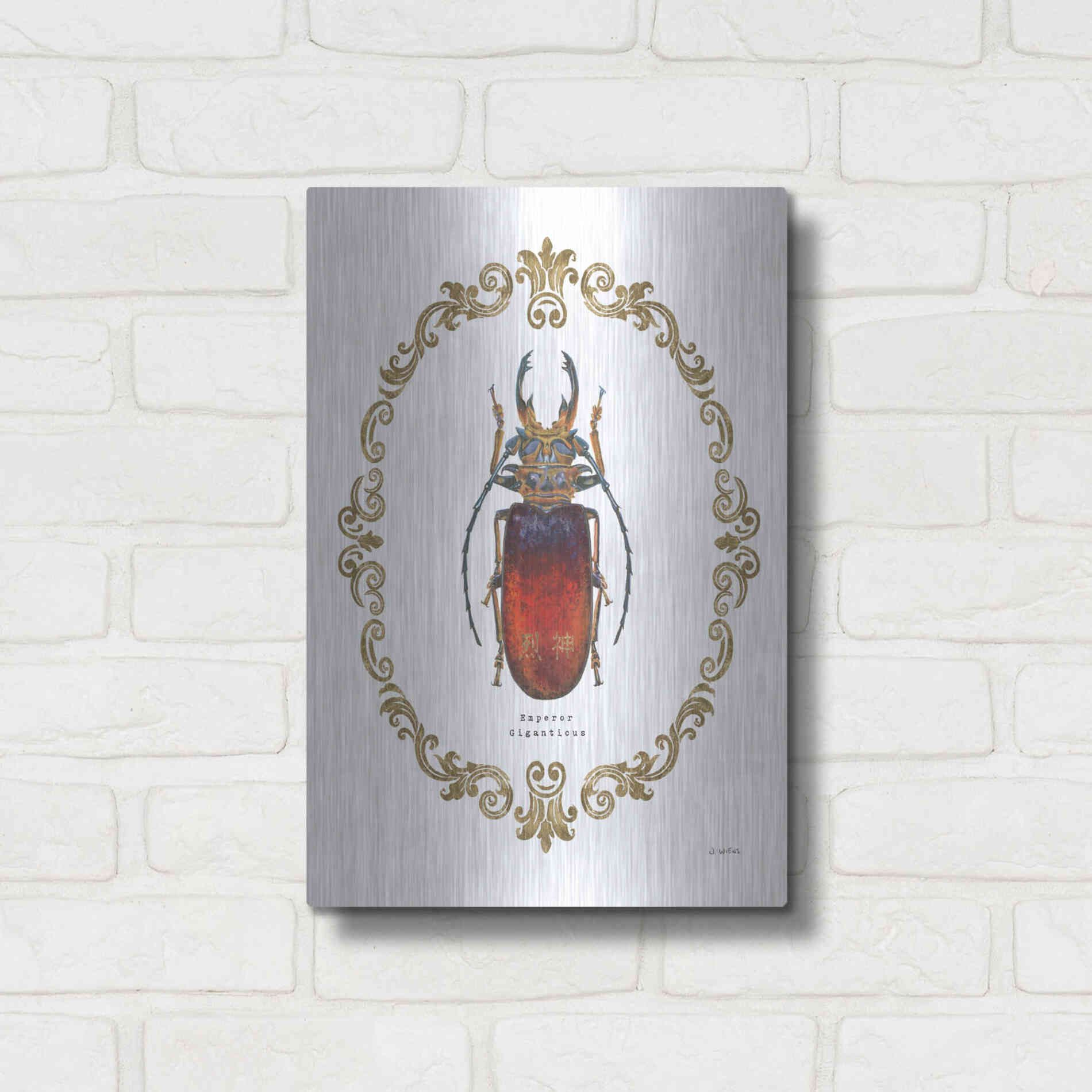 Luxe Metal Art 'Adorning Coleoptera I' by James Wiens, Metal Wall Art,12x16