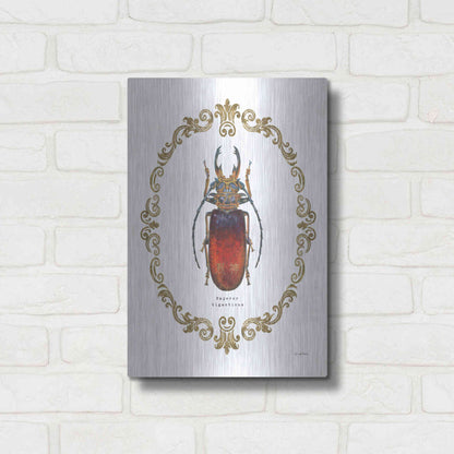 Luxe Metal Art 'Adorning Coleoptera I' by James Wiens, Metal Wall Art,12x16