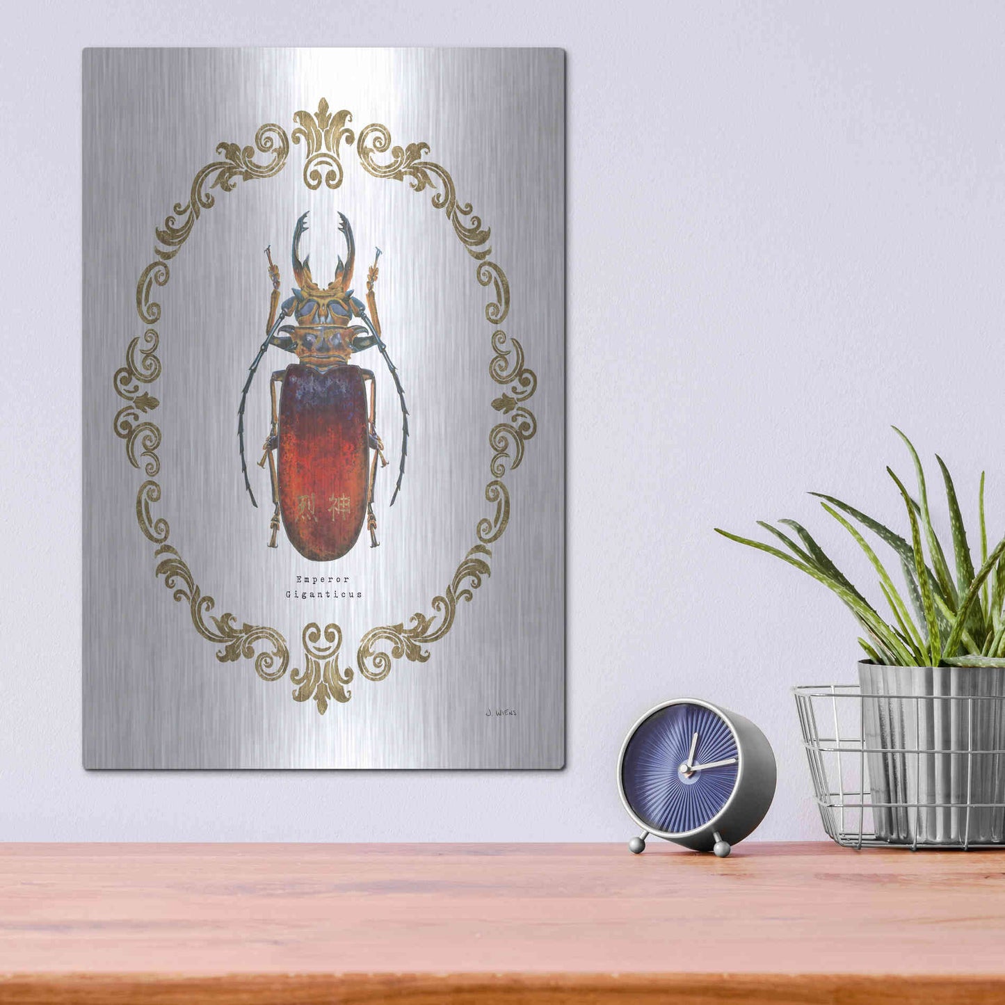 Luxe Metal Art 'Adorning Coleoptera I' by James Wiens, Metal Wall Art,12x16