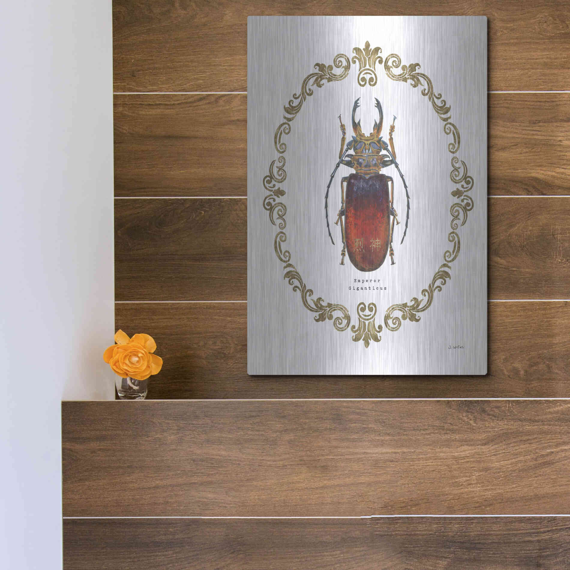 Luxe Metal Art 'Adorning Coleoptera I' by James Wiens, Metal Wall Art,12x16