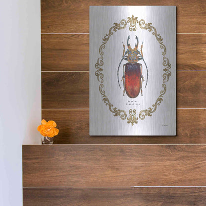 Luxe Metal Art 'Adorning Coleoptera I' by James Wiens, Metal Wall Art,12x16