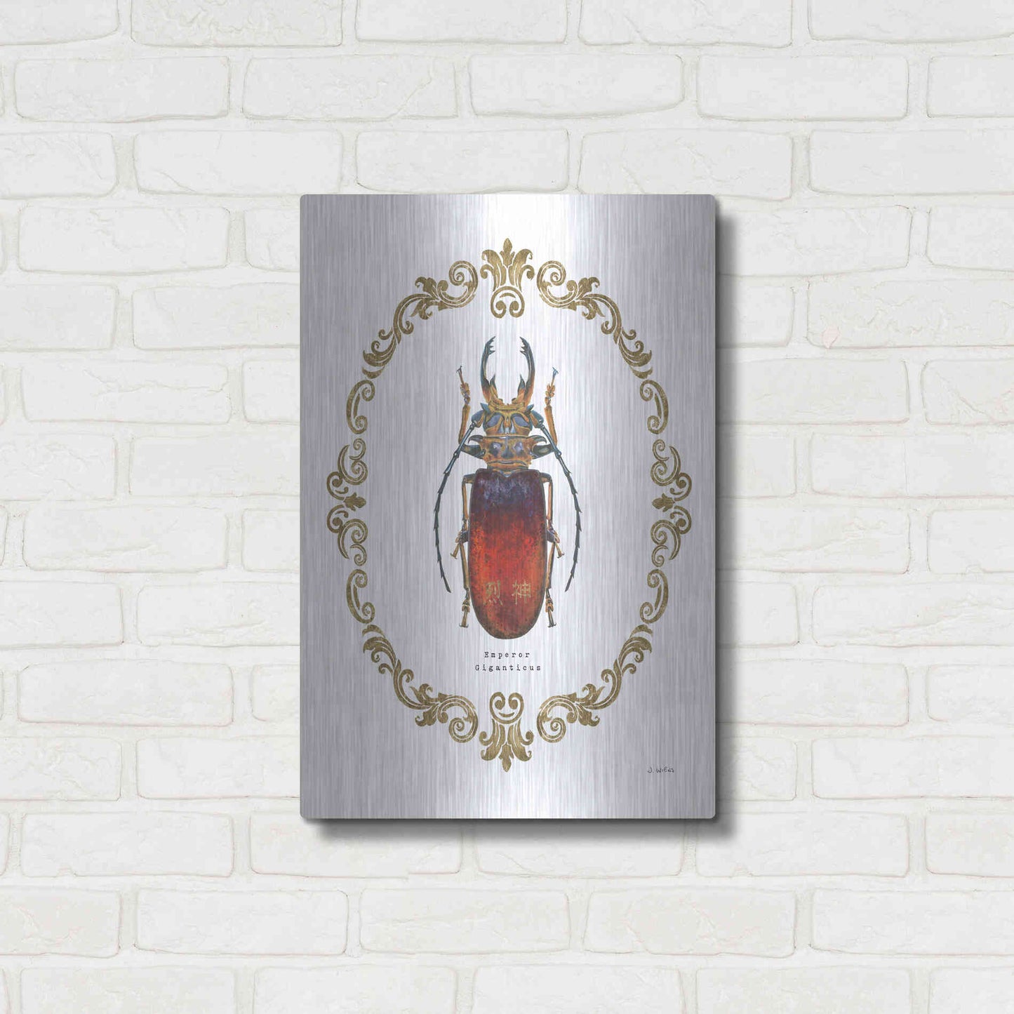 Luxe Metal Art 'Adorning Coleoptera I' by James Wiens, Metal Wall Art,16x24