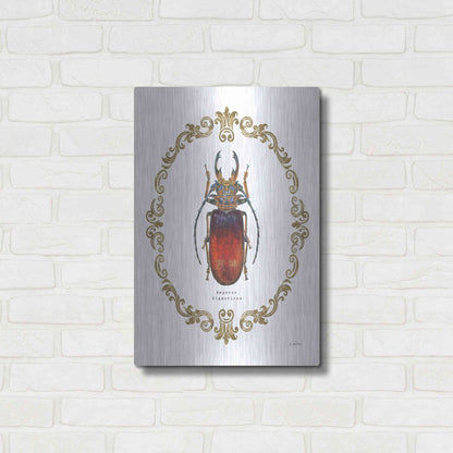 Luxe Metal Art 'Adorning Coleoptera I' by James Wiens, Metal Wall Art,16x24