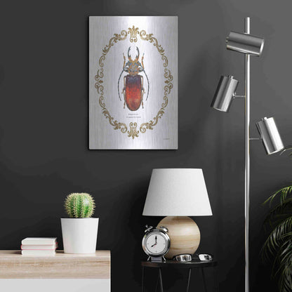 Luxe Metal Art 'Adorning Coleoptera I' by James Wiens, Metal Wall Art,16x24