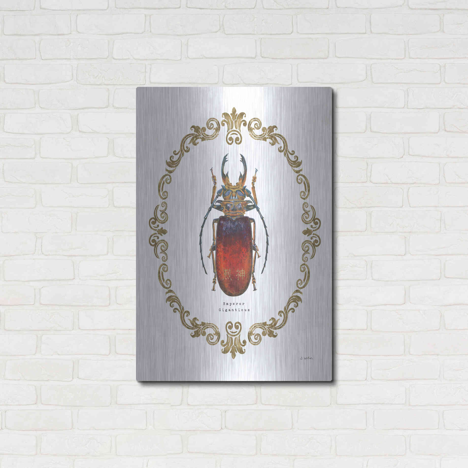 Luxe Metal Art 'Adorning Coleoptera I' by James Wiens, Metal Wall Art,24x36