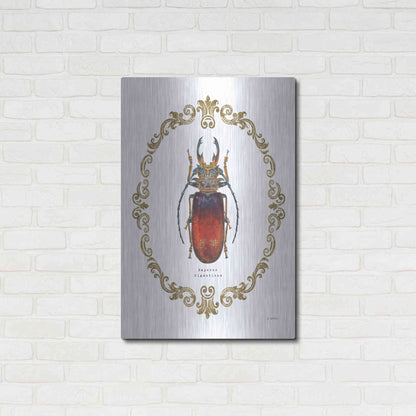 Luxe Metal Art 'Adorning Coleoptera I' by James Wiens, Metal Wall Art,24x36
