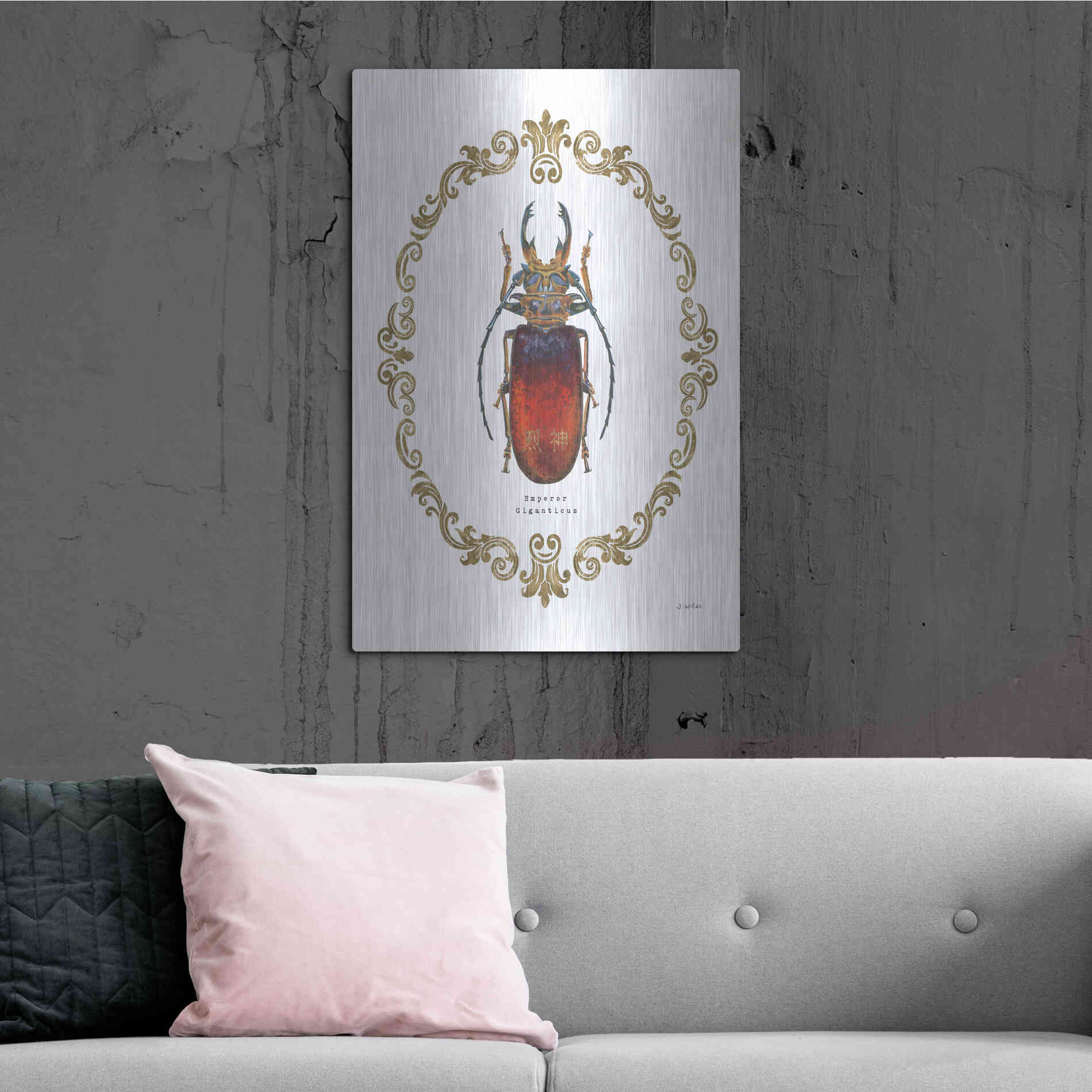 Luxe Metal Art 'Adorning Coleoptera I' by James Wiens, Metal Wall Art,24x36