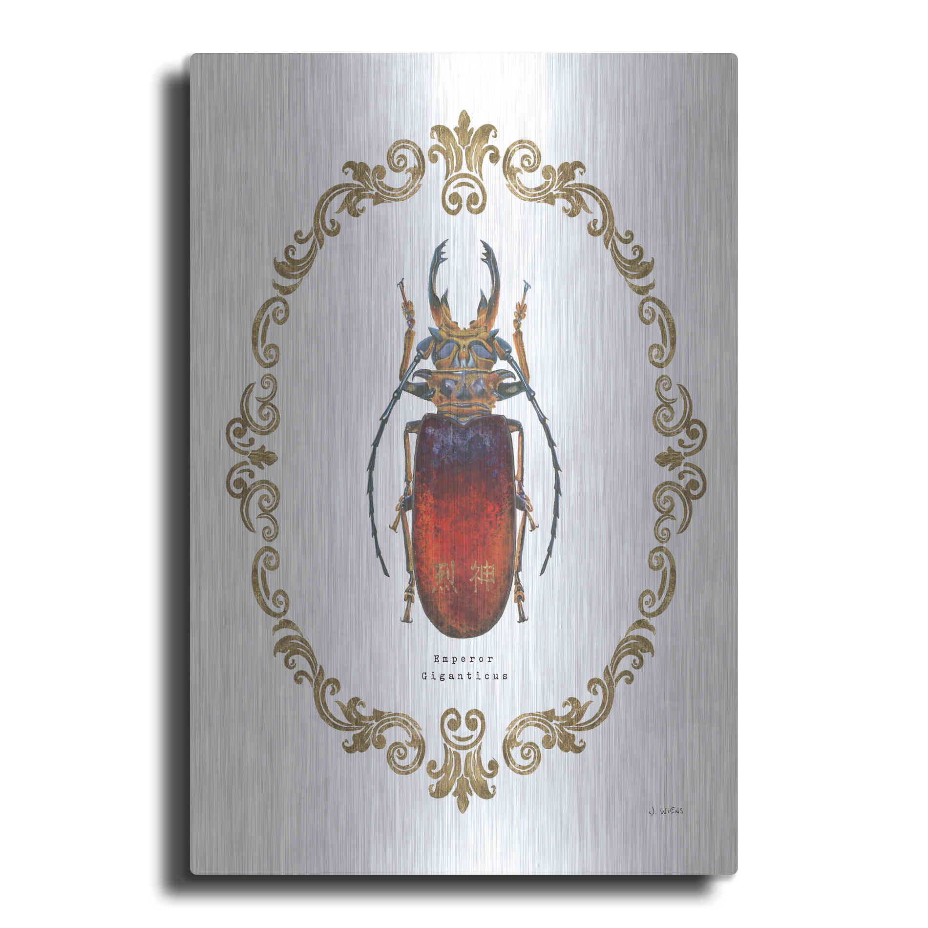 Luxe Metal Art 'Adorning Coleoptera I' by James Wiens, Metal Wall Art