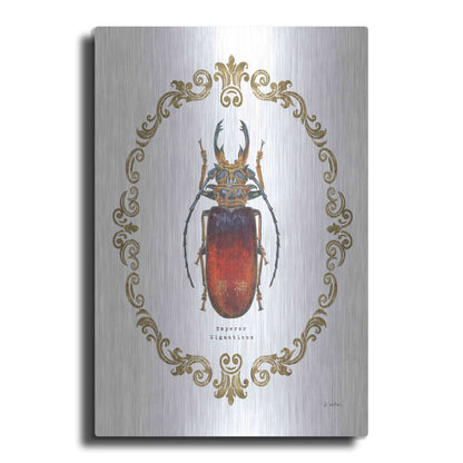 Luxe Metal Art 'Adorning Coleoptera I' by James Wiens, Metal Wall Art