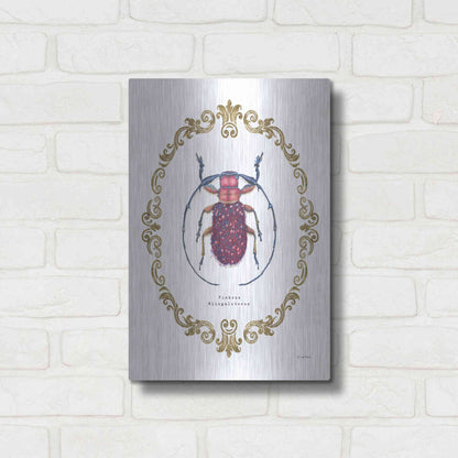 Luxe Metal Art 'Adorning Coleoptera II' by James Wiens, Metal Wall Art,12x16