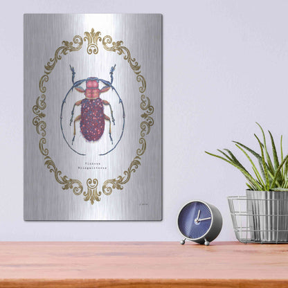 Luxe Metal Art 'Adorning Coleoptera II' by James Wiens, Metal Wall Art,12x16