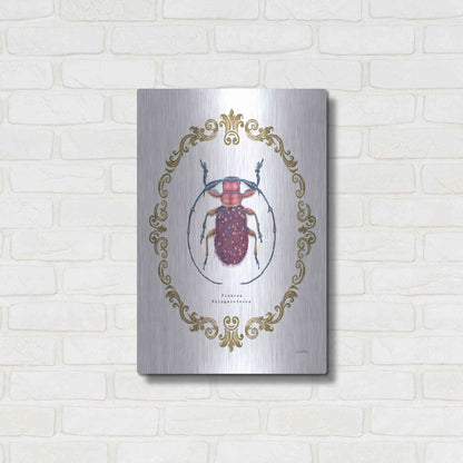 Luxe Metal Art 'Adorning Coleoptera II' by James Wiens, Metal Wall Art,16x24