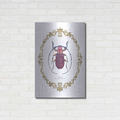 Luxe Metal Art 'Adorning Coleoptera II' by James Wiens, Metal Wall Art,24x36