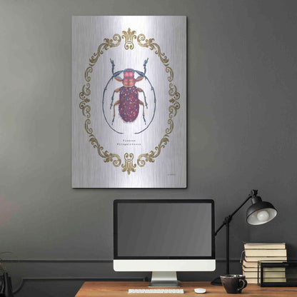 Luxe Metal Art 'Adorning Coleoptera II' by James Wiens, Metal Wall Art,24x36