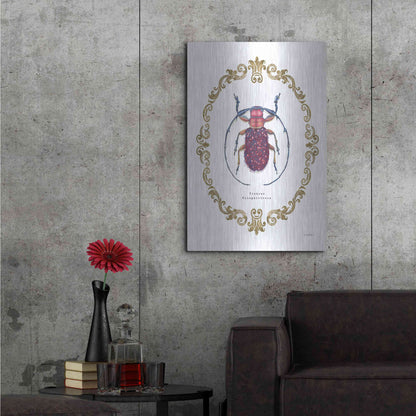 Luxe Metal Art 'Adorning Coleoptera II' by James Wiens, Metal Wall Art,24x36