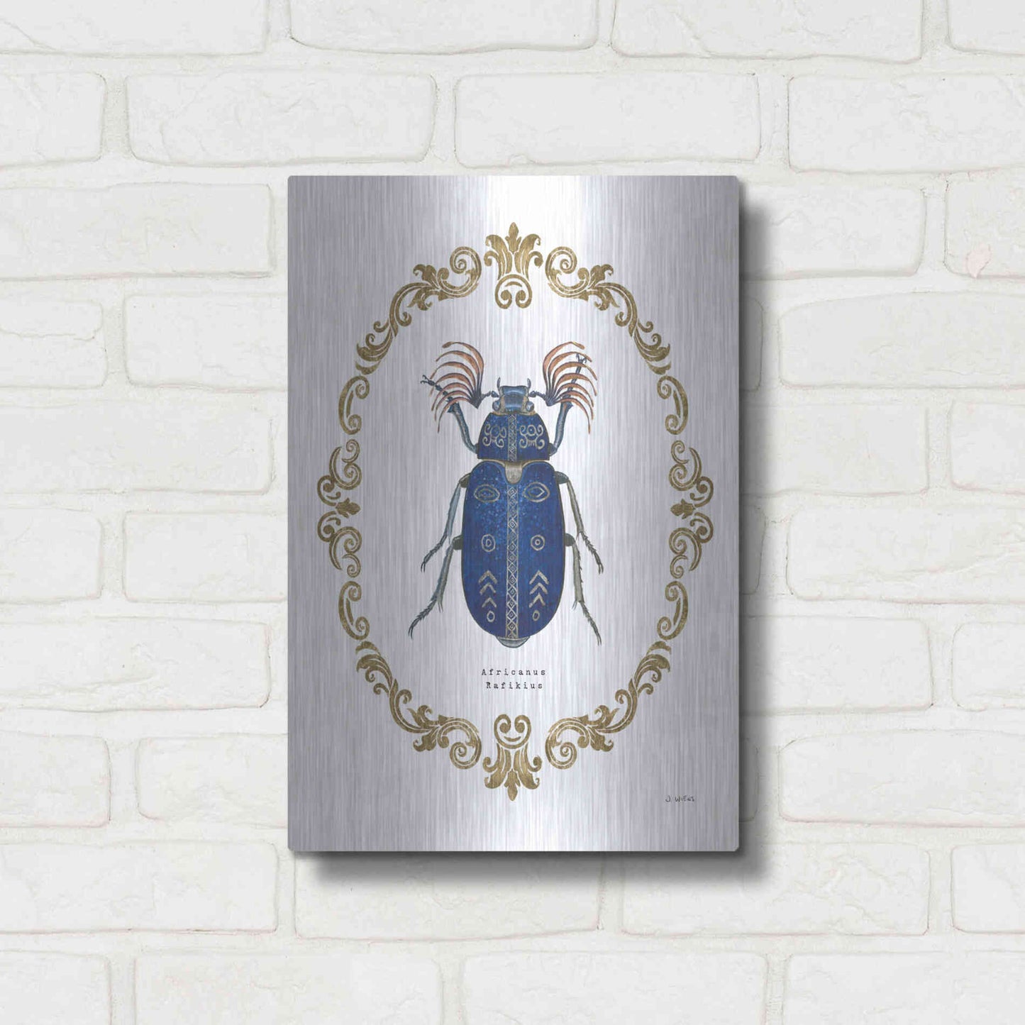 Luxe Metal Art 'Adorning Coleoptera III' by James Wiens, Metal Wall Art,12x16
