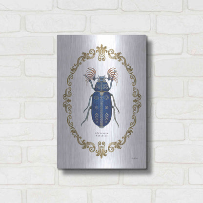 Luxe Metal Art 'Adorning Coleoptera III' by James Wiens, Metal Wall Art,12x16