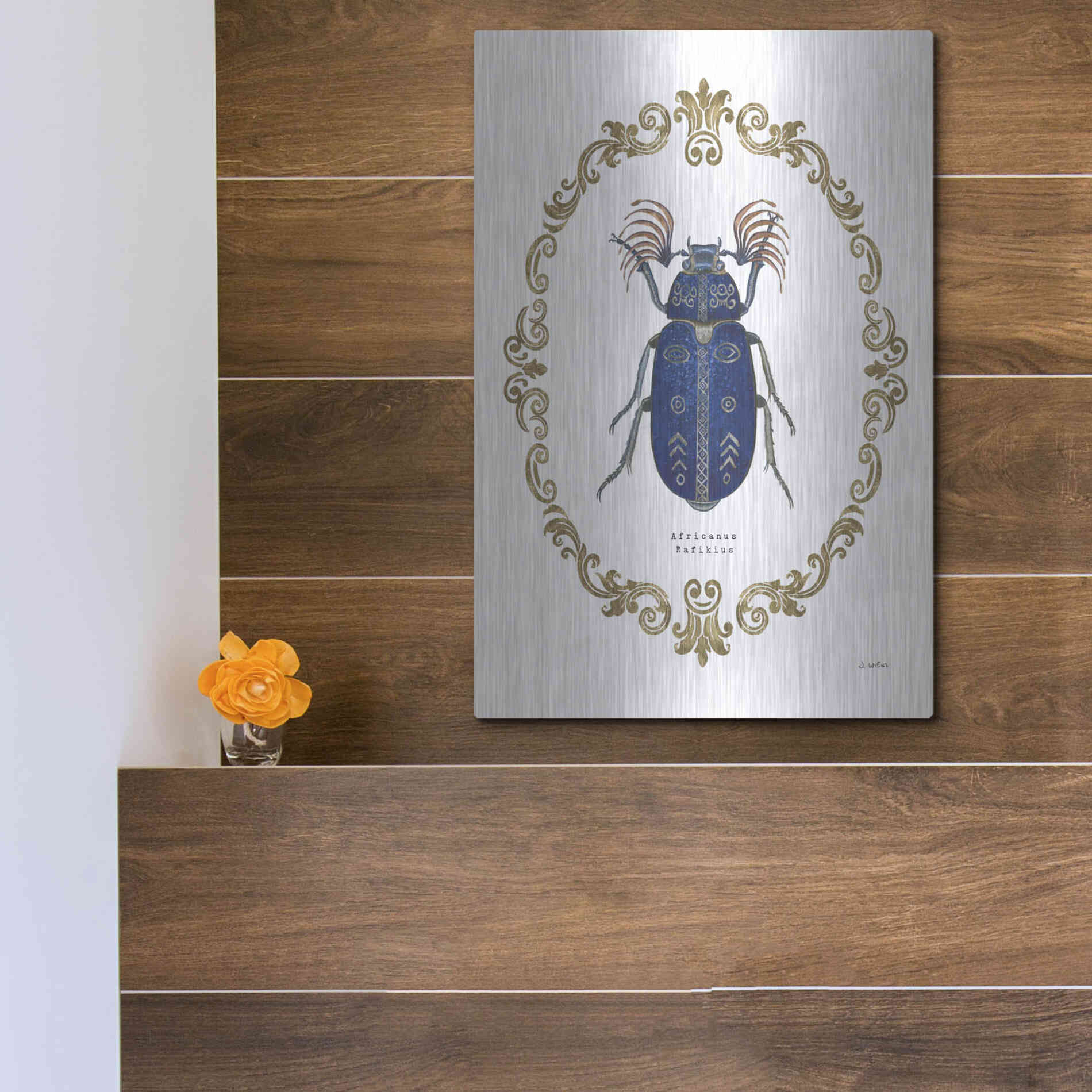 Luxe Metal Art 'Adorning Coleoptera III' by James Wiens, Metal Wall Art,12x16