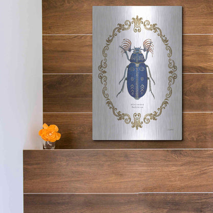 Luxe Metal Art 'Adorning Coleoptera III' by James Wiens, Metal Wall Art,12x16
